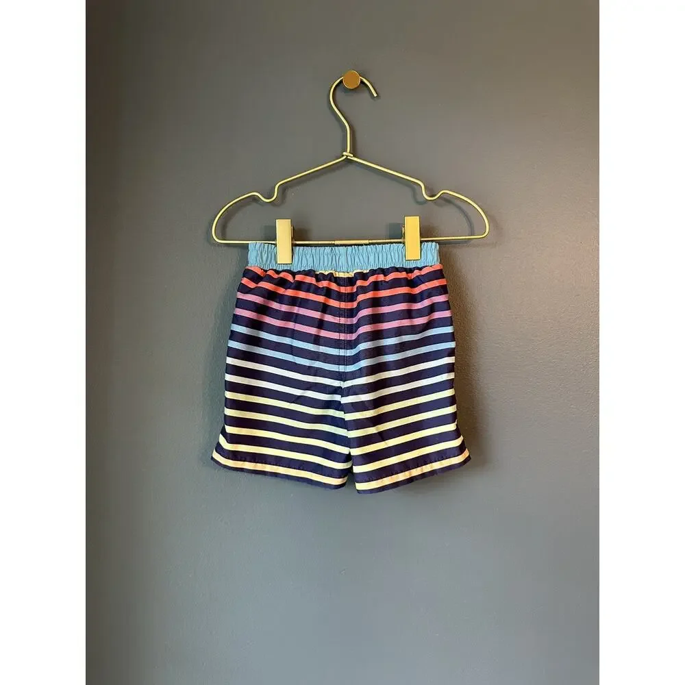 Primary Rainbow‎ Stripe Swim Trunks
